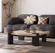 CTK100 - โต๊ะกลาง โต๊ะกาแฟ (Coffee Table)