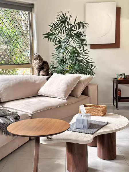 CTK104 - โต๊ะกลาง โต๊ะกาแฟ (Coffee Table)